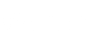 samriddhiz finserv logo (1)